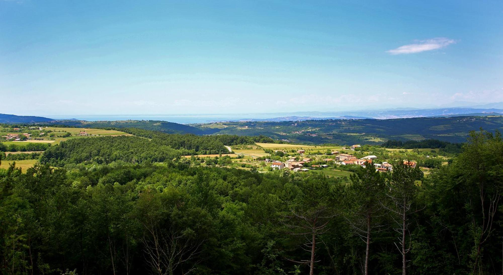 Luxury Villa Gradin Gračišče Eksteriør bilde